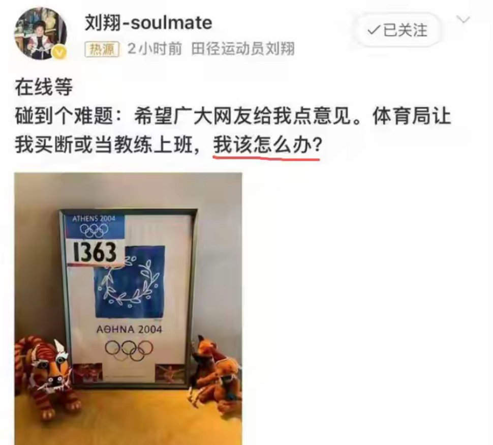 刘翔“切割”仅1天，十年无子隐情曝光，吴柳芳一番话令人破防 ​