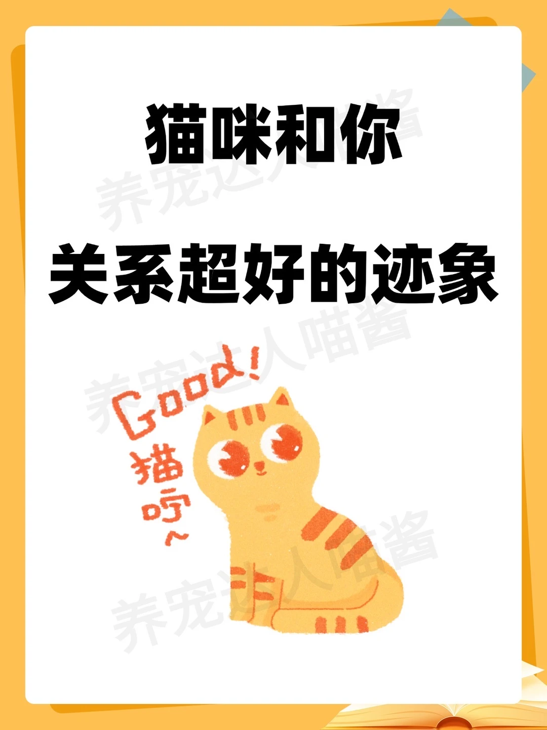 猫咪和你关系超好的迹象
