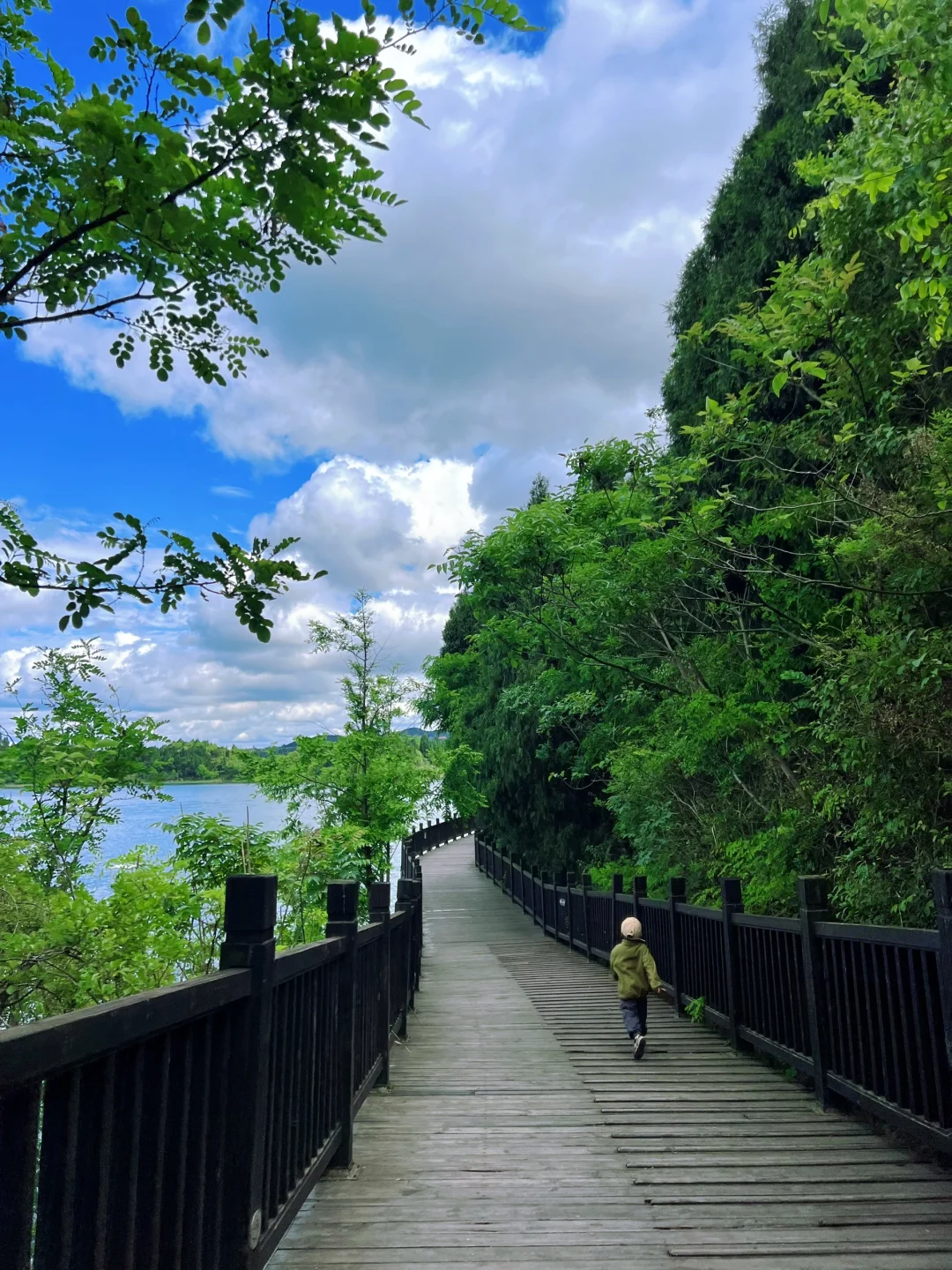 听劝‼️来绵阳一定要去一次仙海湖 附攻略