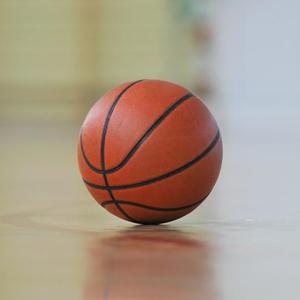 在林间倾听风声过客