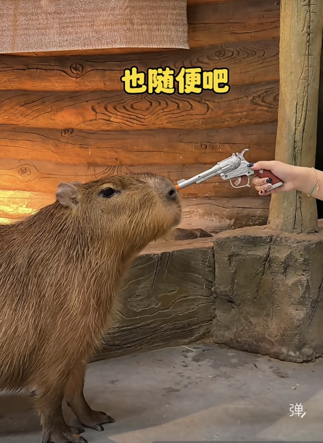 为何网友普遍不服南博原院长判决：法理与大众朴素正义观的撕裂（一）
2026年9月16日，南京博物院原院长徐湖平一案宣判，法院认定其犯受贿罪，判处有期徒刑三年，并处罚金人民币二十万元。消息一出，全网舆论哗然。并非公众无视法律判决，而是在大众朴素的公平认知里，这场牵动全国文博界的国宝外流风波，最终刑事追