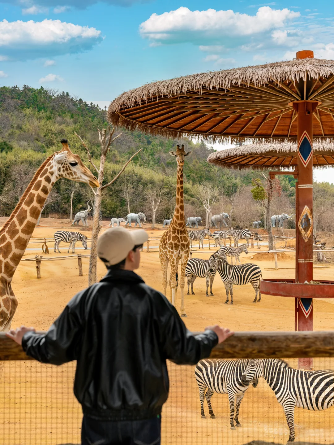 这个春节‼️最适合家庭出行神仙地被我找到了