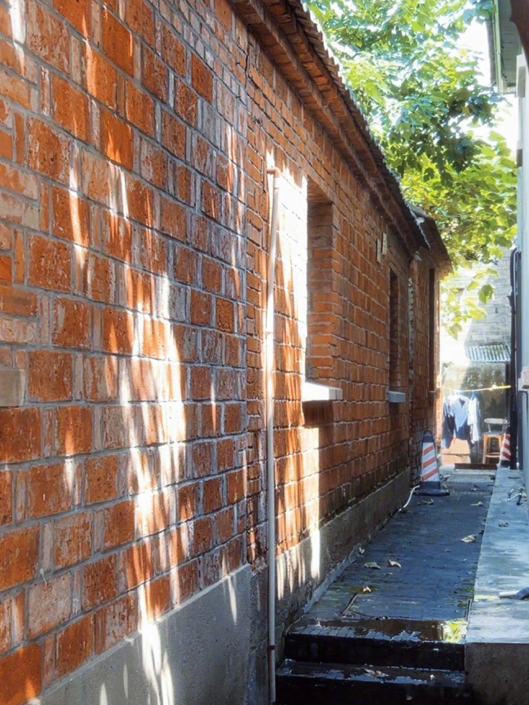 在南京漫步了一下 🍃🐱 感受生机 待会儿舞台见！#有音乐的夏天# ​
