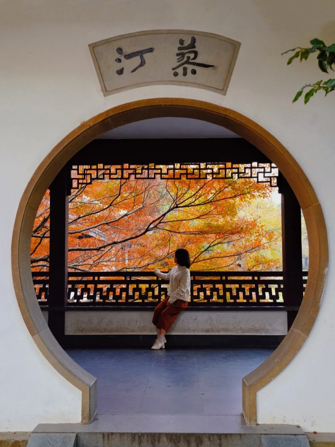 杭州红枫｜最具江南园林韵味｜丝毫不输京都‼️