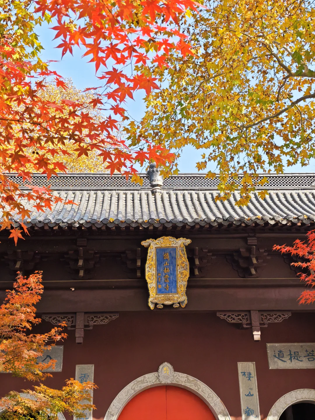 📆南京赏秋进度播报！12.1-12.7地点推荐