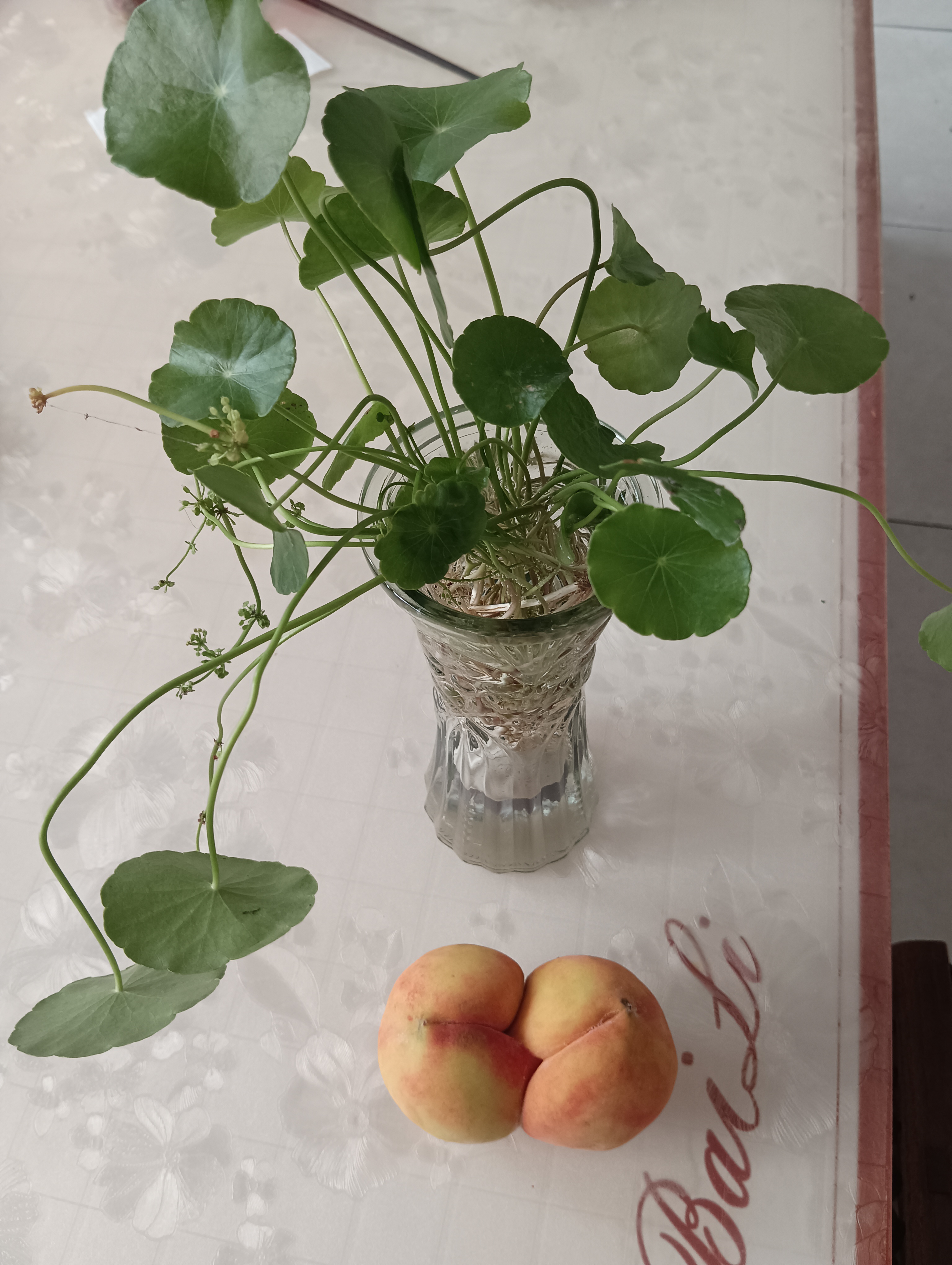 红米手机怎么样，牌子好吗很好，用了8一9年了