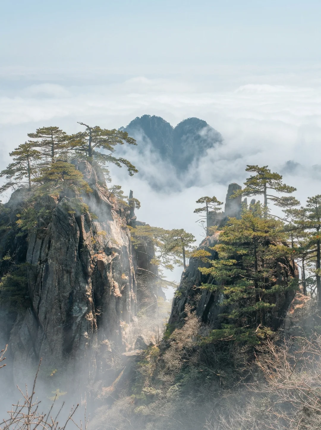 只有来到黄山，才知道"黄山"的含金量