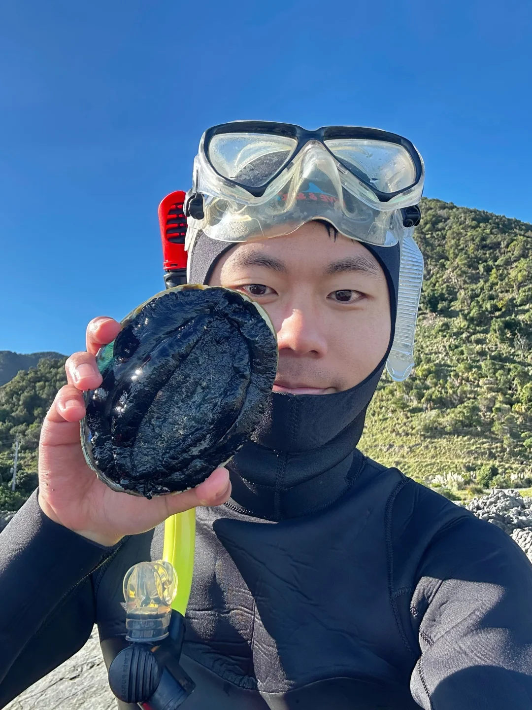 新西兰赶海必看！来抓遍地免费的黑金鲍了…