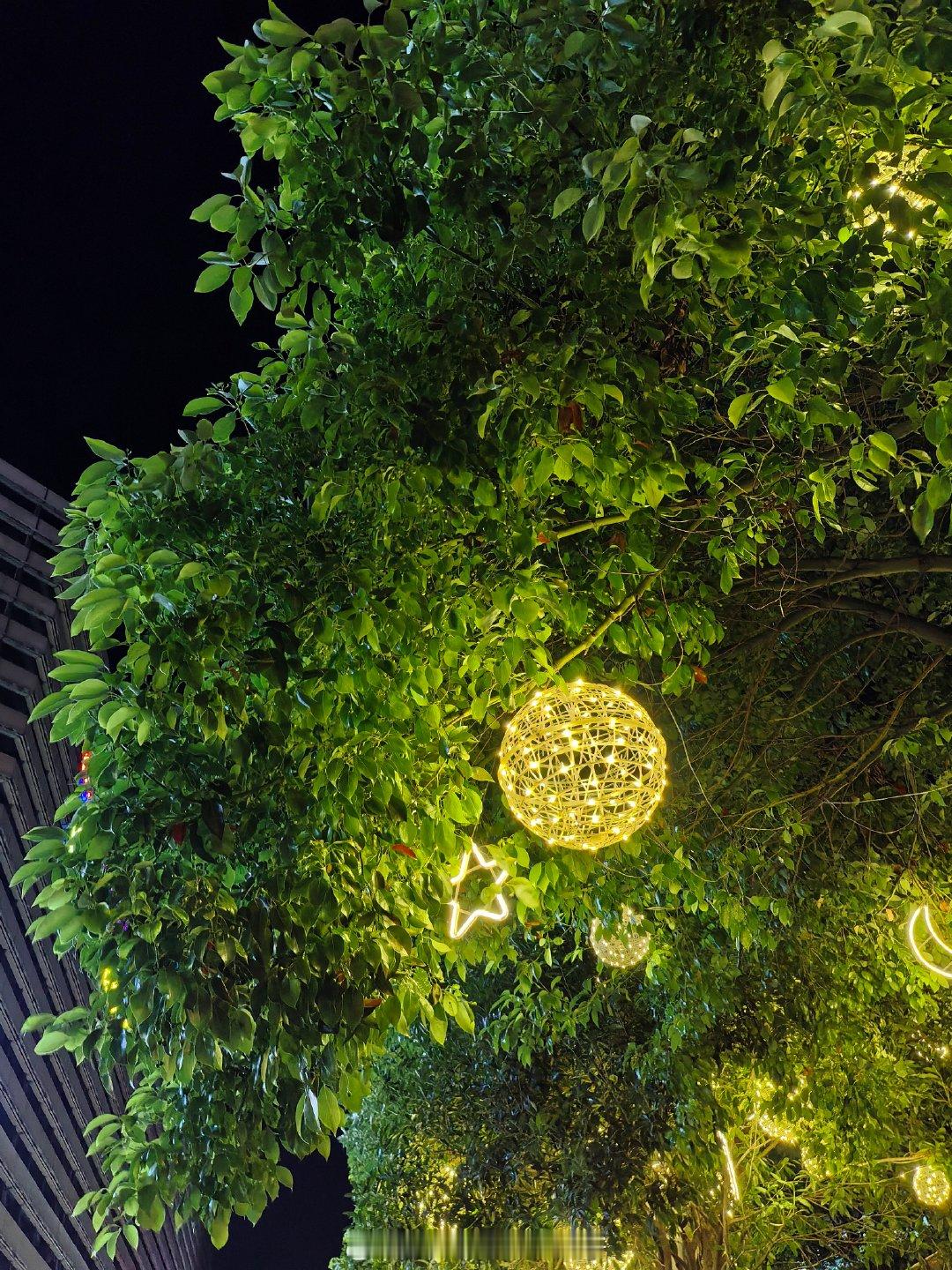 夜色漫上来，树梢就悄悄挂起了星月✨
暖融融的光从叶缝里漏下来，连吹过的晚风都裹着软乎乎的温柔。
城市的夜，总藏着这样不期而遇的小浪漫。
📷华为畅享90 Pro Max
#随手拍##微博影像年#  ​