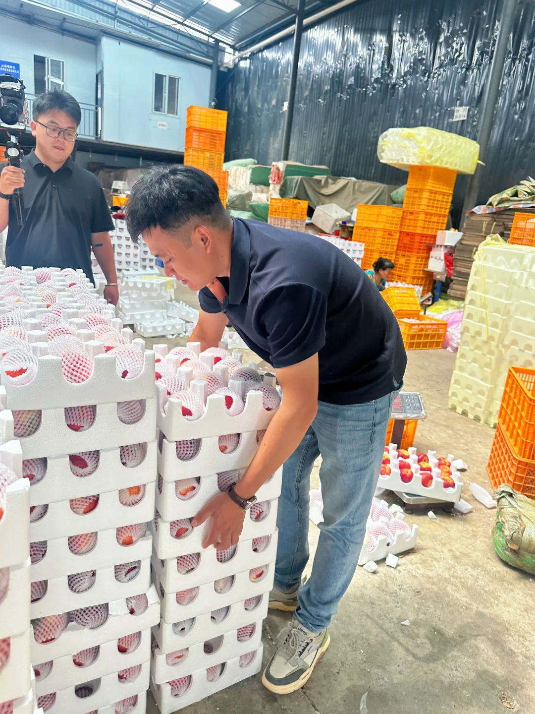 终于等到了红露苹果口感巅峰期了，仓库爆单！
