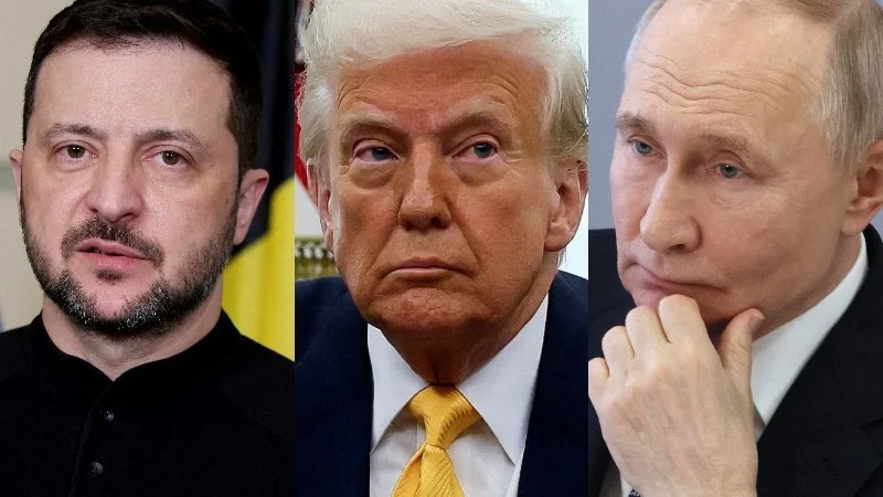 泽连斯基：数天内提交给俄罗斯