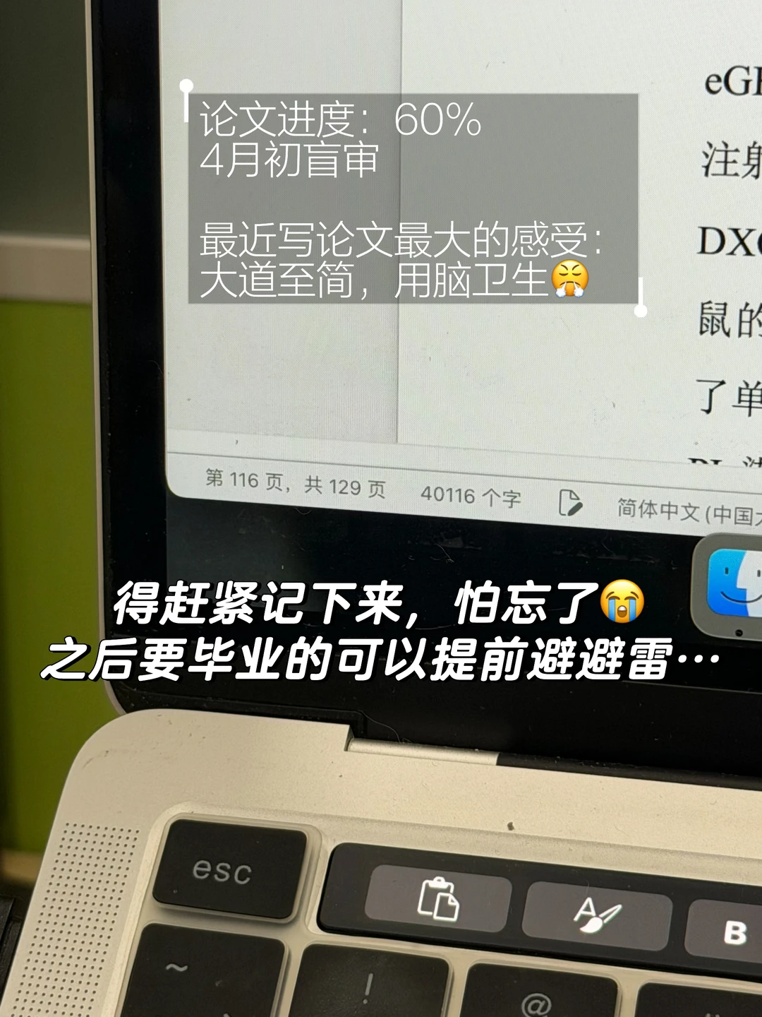 最近写毕业大论文有感（随笔，怕忘记