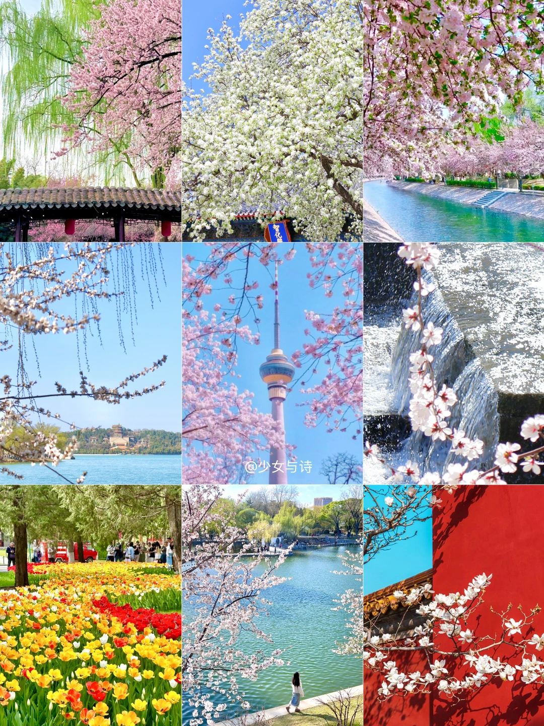 2026北京春天赏花日历🌸（3月4月最全合集）