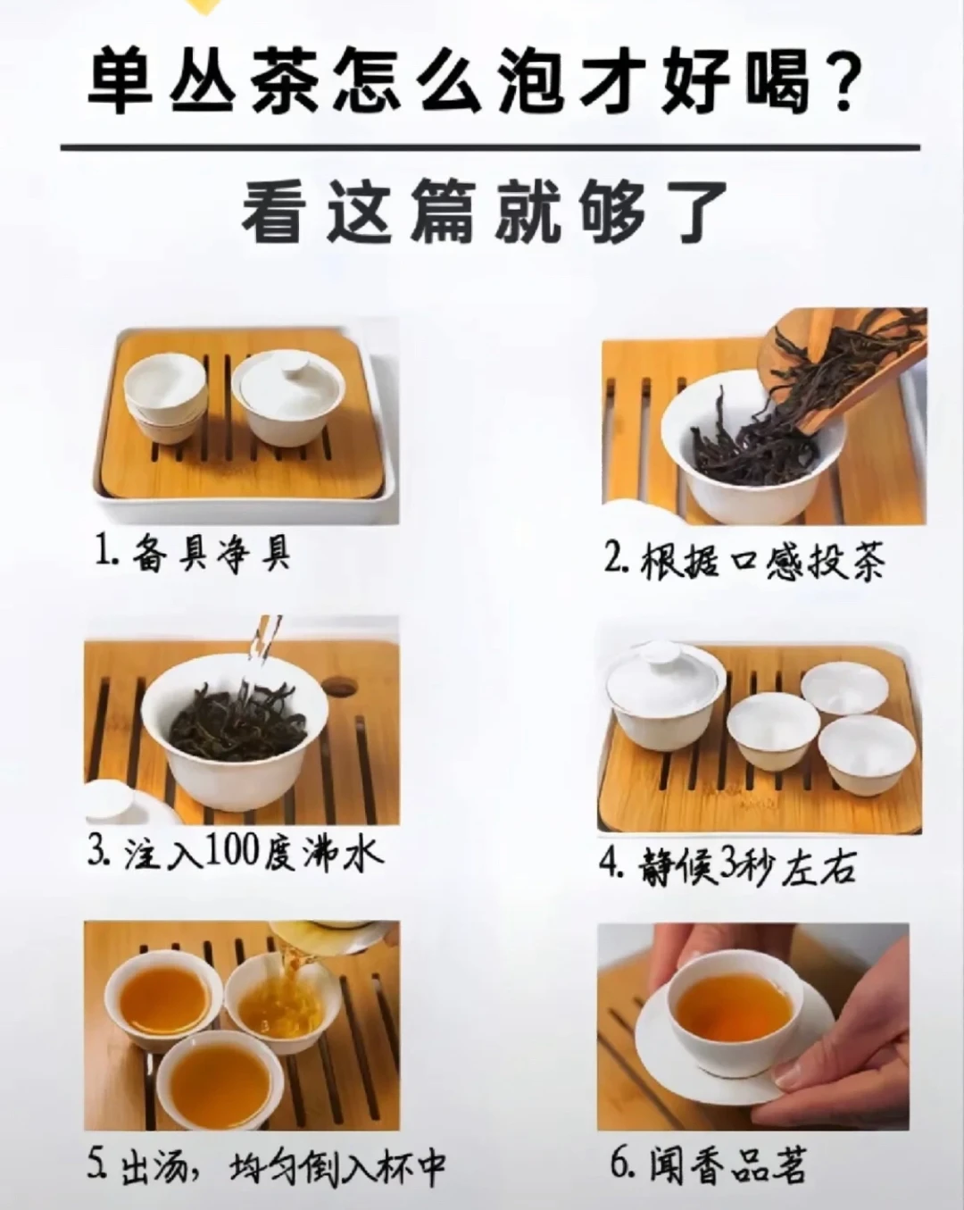 不要再跟我说你不会泡单丛茶了