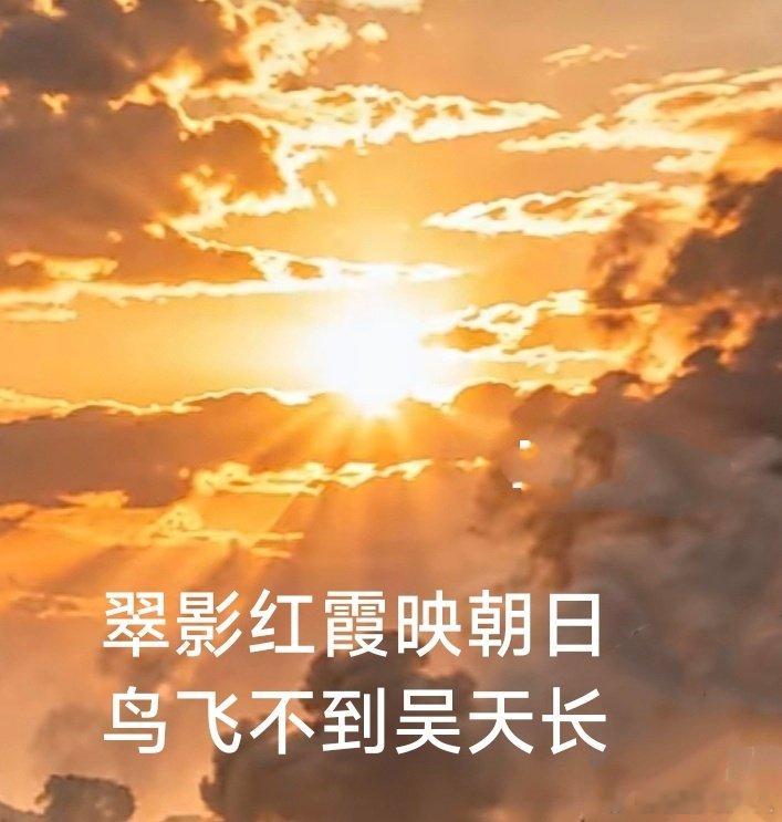 人口崩盘，警告全球生育率在往下掉。持续下去，人类文明会萎缩甚至消失。
人口减少意味着“集体意识”缩水，人类理解宇宙的能力也跟着降级。超级人工智能的智力，迟早碾压人类。人类想跟AI掰手腕，唯一的办法就是多造“聪明人”，多生孩子。 ​
