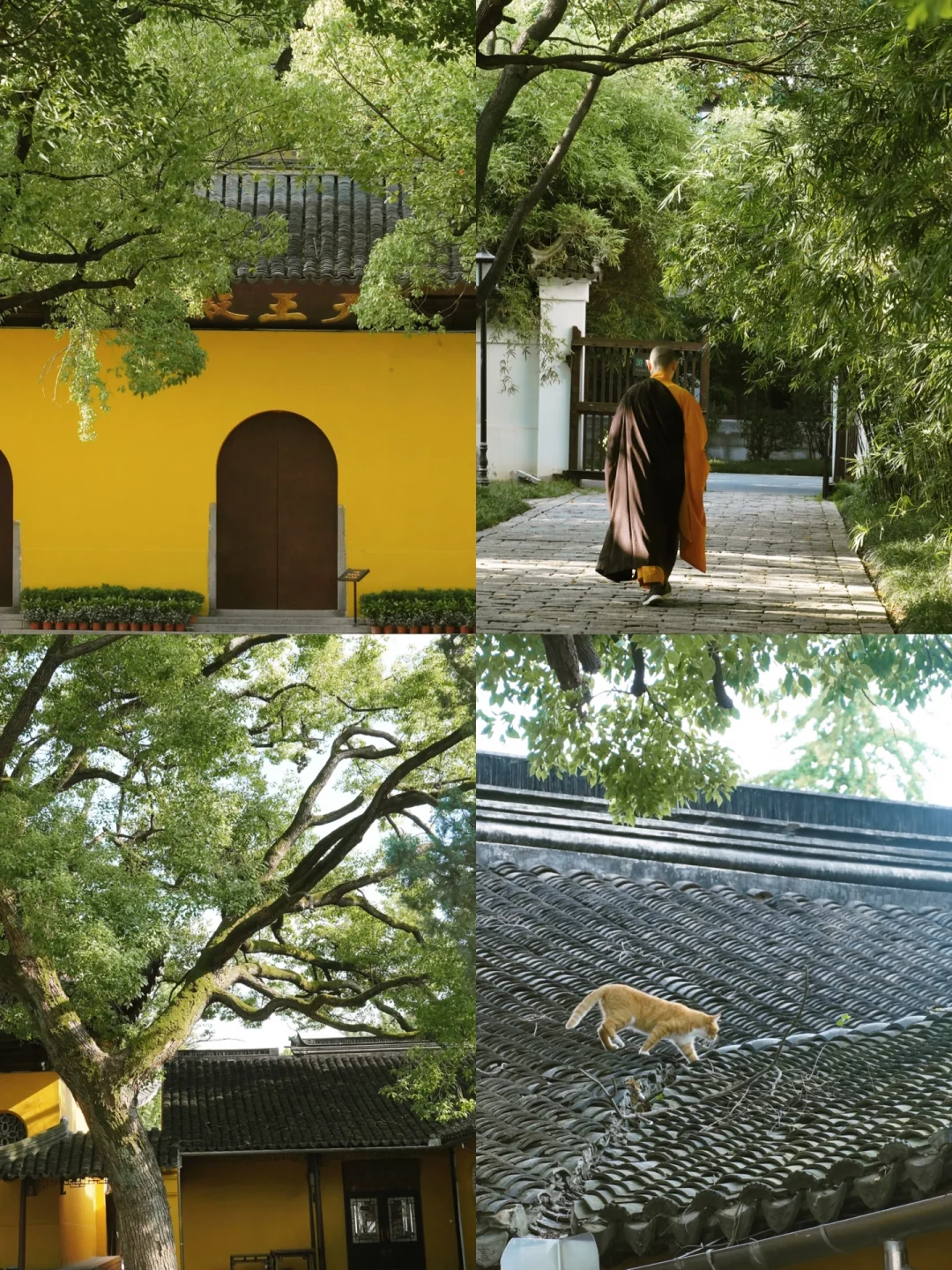 一定要来苏州西园寺 | 偷得浮生半日闲✨