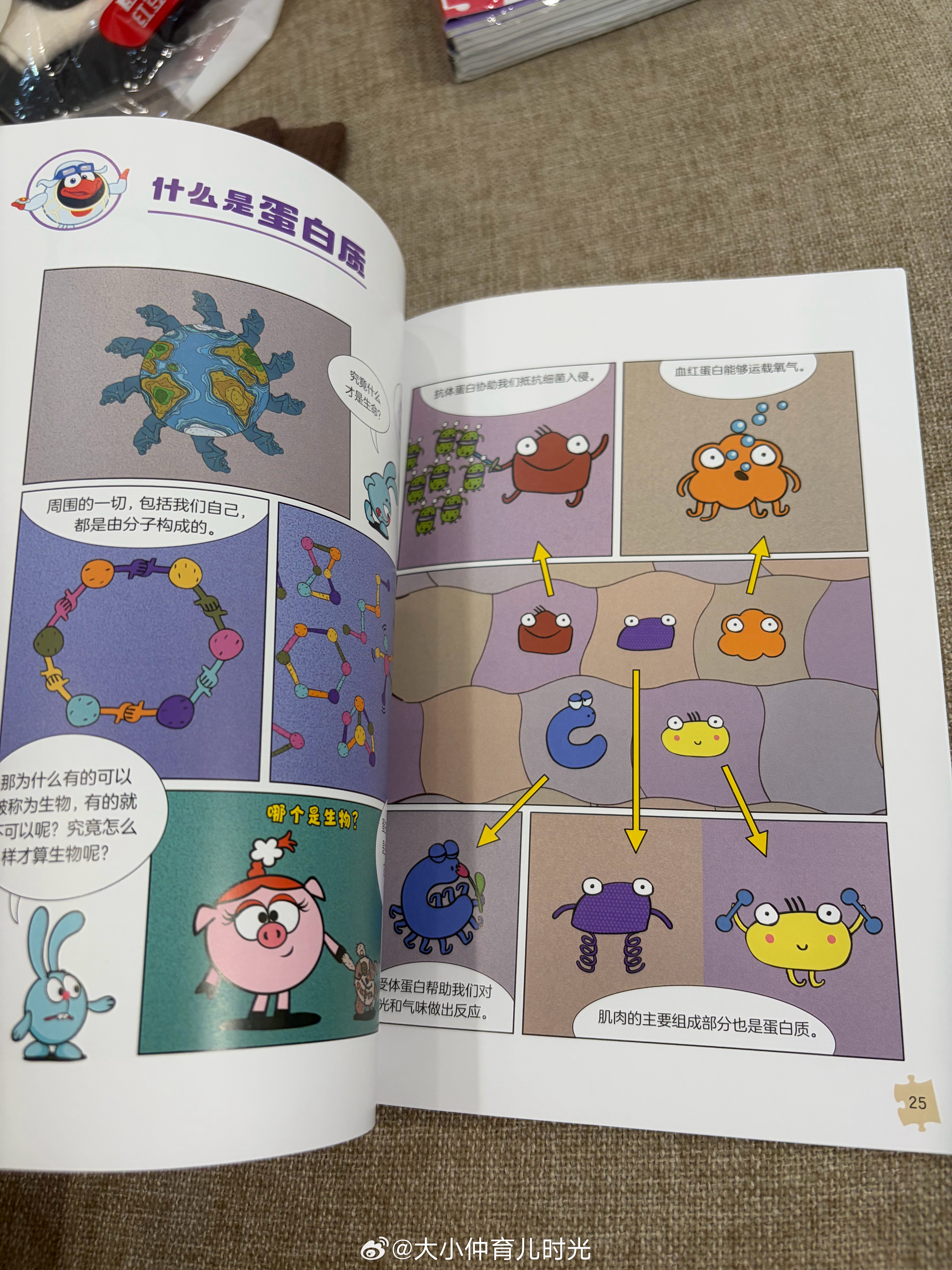 儿科医生辞职去高端私立医院我:看一下这本生物的，你以后当医生的话可是要学生物的！小小仲:我不想当医生！我:你不当医生，人类的基本的知识你也要了解一下，这是常识。小小仲的四年级 ​​​