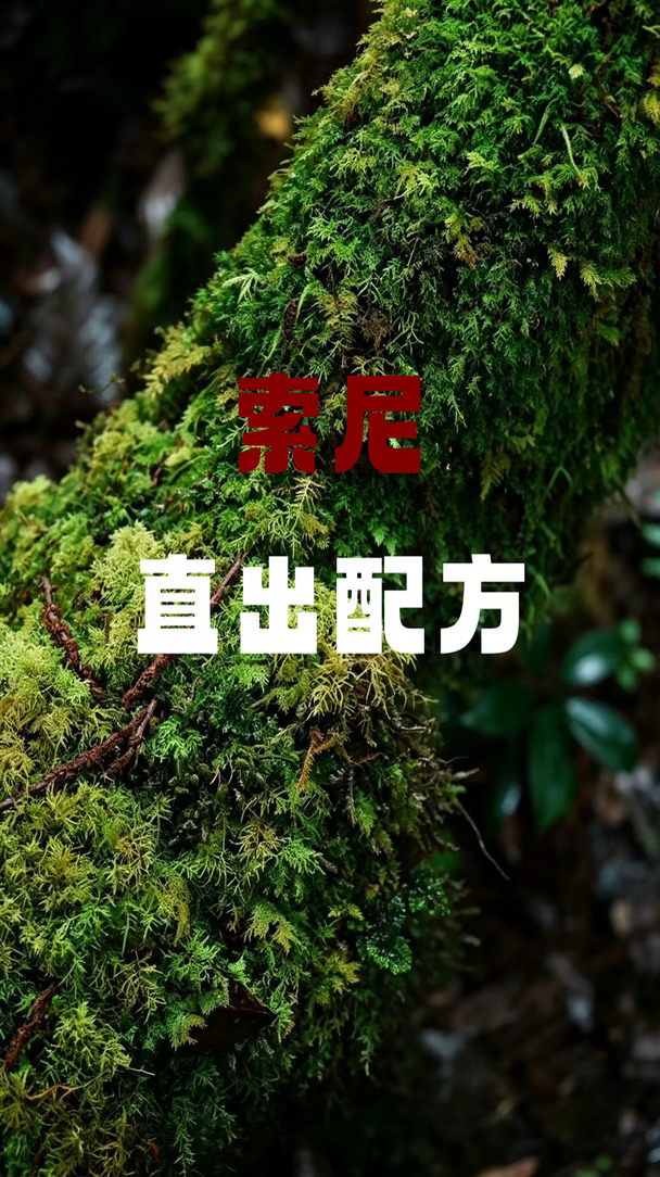 索尼森林机内配方✨阴雨天秘境直出yyds