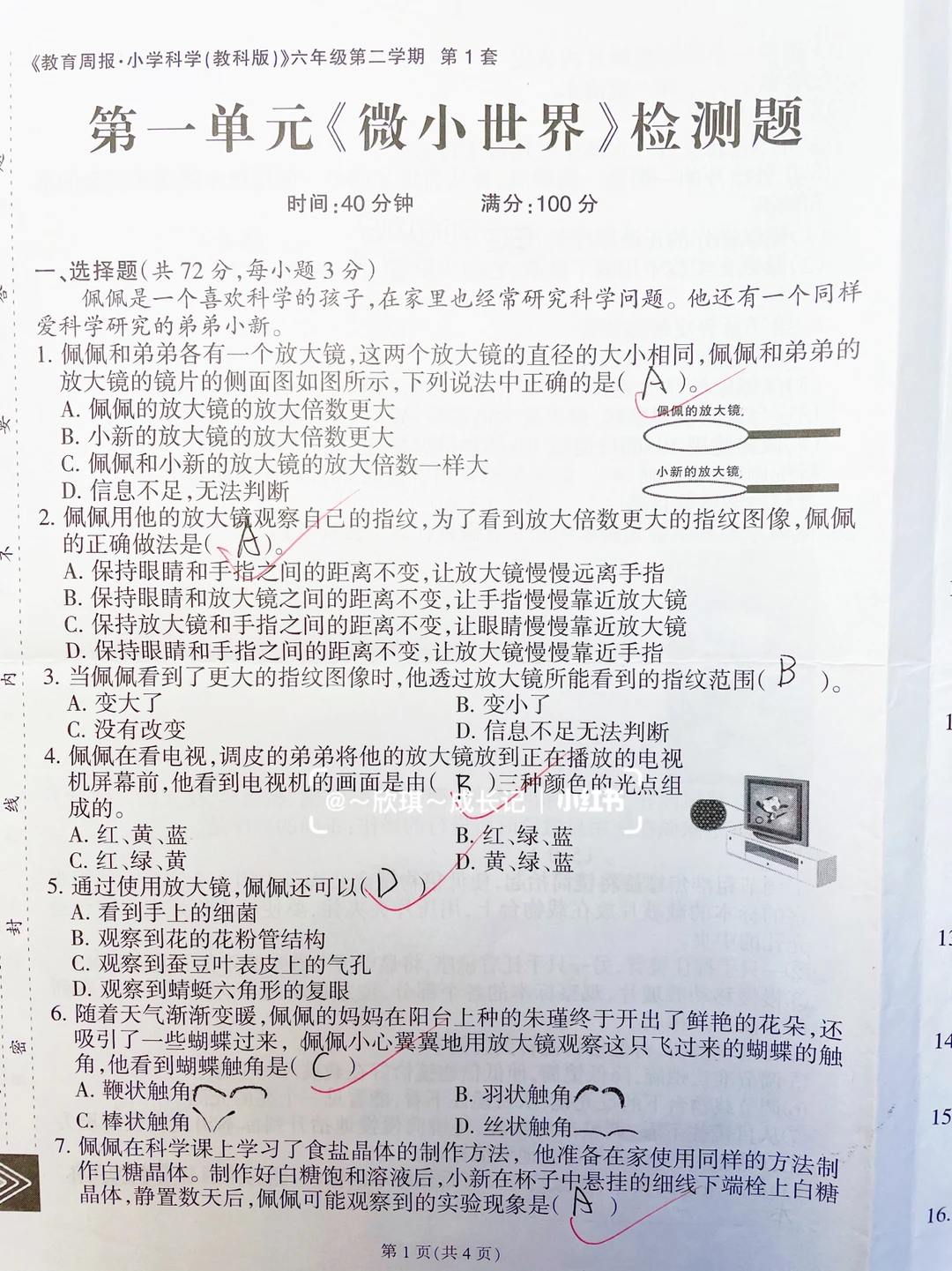 六下科学，第一单元《微小世界》检测题