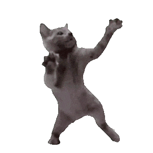 可爱猫meme动图表情包
