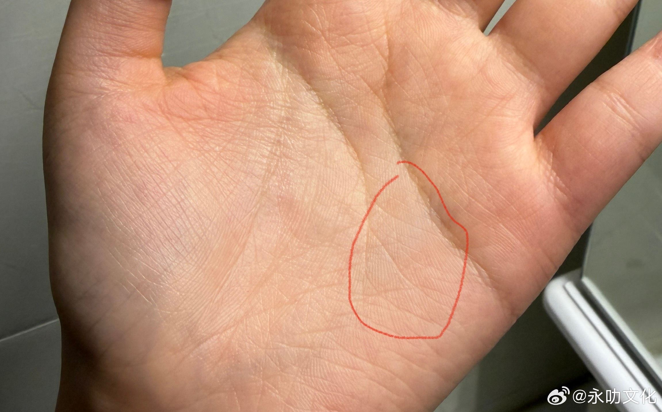 手相一则：[并不简单]智慧线上方画圈位置长出向上翘头的尾线，如同长长的睫毛，这个线越长越深，代表人越喜欢刨根问底，喜欢分析别人的行为、动机，通常比较清醒，但这也会让自己显得与人比较疏离。感情上，在异性相处中，也相对比较挑剔，不太会为了结婚而做出将就的选择。手相面相八字算命 ​​​