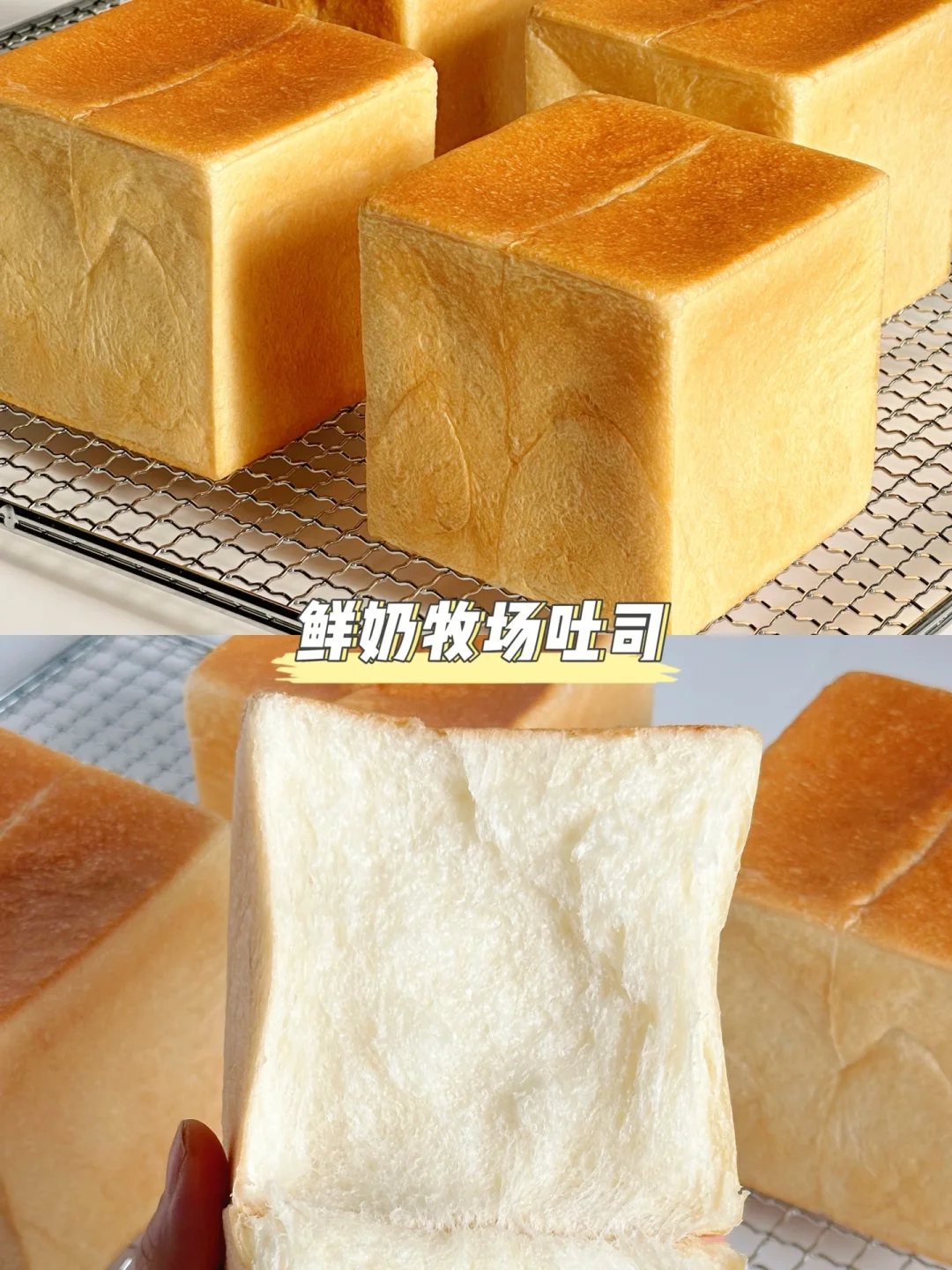 大师经典配方！吴克己老师的鲜奶牧场吐司🍞