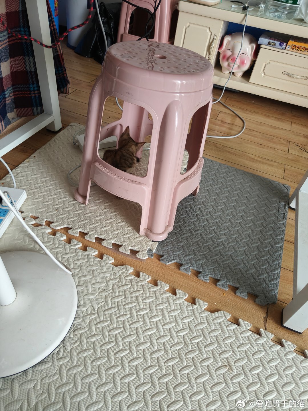 刚进小区就遇见了一只在宝马车下乘凉的小猫。
它跟我对视了一眼，然后目光坚定的向我走来。
我将给它一个家。
这猫就叫板凳吧。 ​