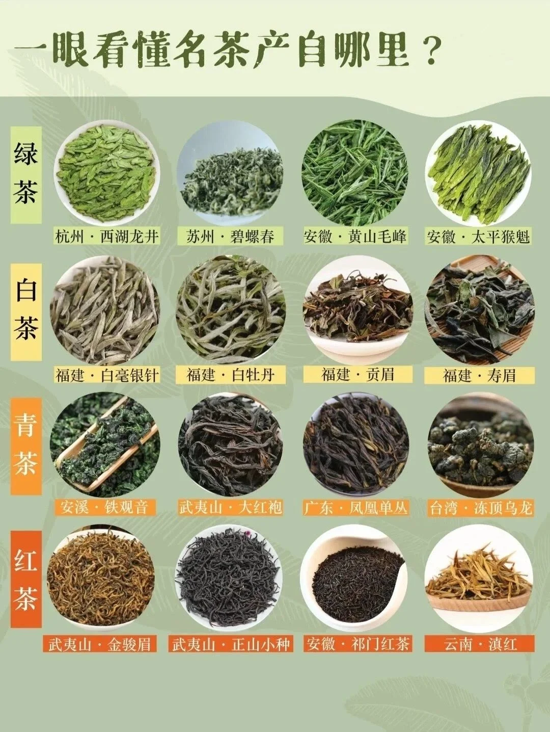 一篇文章看懂六大茶类