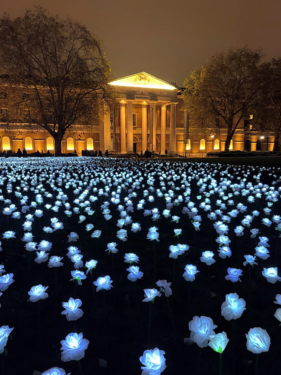 🇬🇧伦敦还是太懂浪漫了｜3万朵玫瑰绽放…