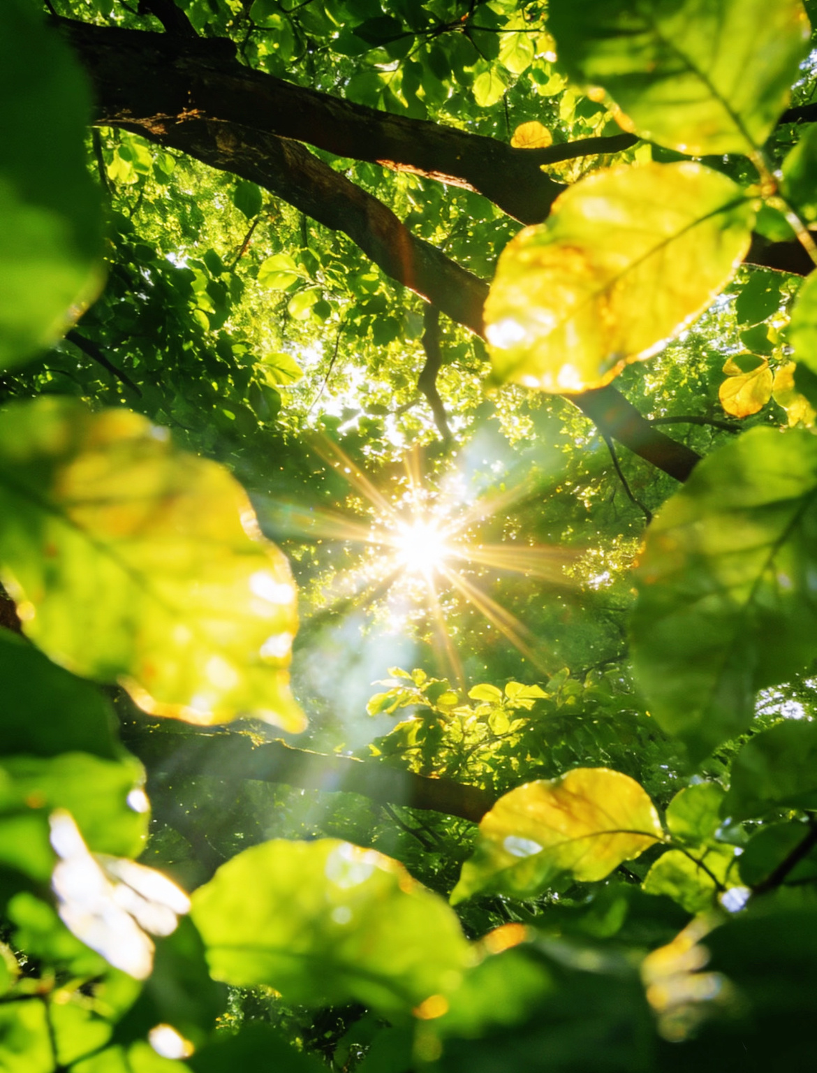 早安☀️｜10.19 公告新周开始，我要珍惜今天的美好时光，认真度过这一天。任务列表：▪️准备吐司种子｜常温发酵，今天烤▪️采购｜当日食材当日买▪️秋梨膏▪️烤燕麦▪️柚子茶▪️缝纫🧵｜改造牛仔衣▪️打扫🧹▪️睡觉💤▪️泡米｜黑白黄绿（米糕明天有2份现货）▪️打包📦…………🚩果佳无添加·（明天团购就结束了哦）· 黄油鸡蛋卷：58.8 / 大盒· 临安小核桃： 55元/罐 · 巨桶玉米片：19.9元 / 10包（星级推荐）· 水果燕麦脆：19.9元 / 袋· 甘梅地瓜片：28.8元 / 3袋 （星级推荐）· 脏脏年糕条：38.8元 / 2桶· 干香鸭脖：25.8元 / 包『 领券下单⚠️（不要买贵）领券无上限，每单都可以用 』…………分享：道家之无情亦是佛家之大悲。人永远给不出自己未曾拥有过的东西。