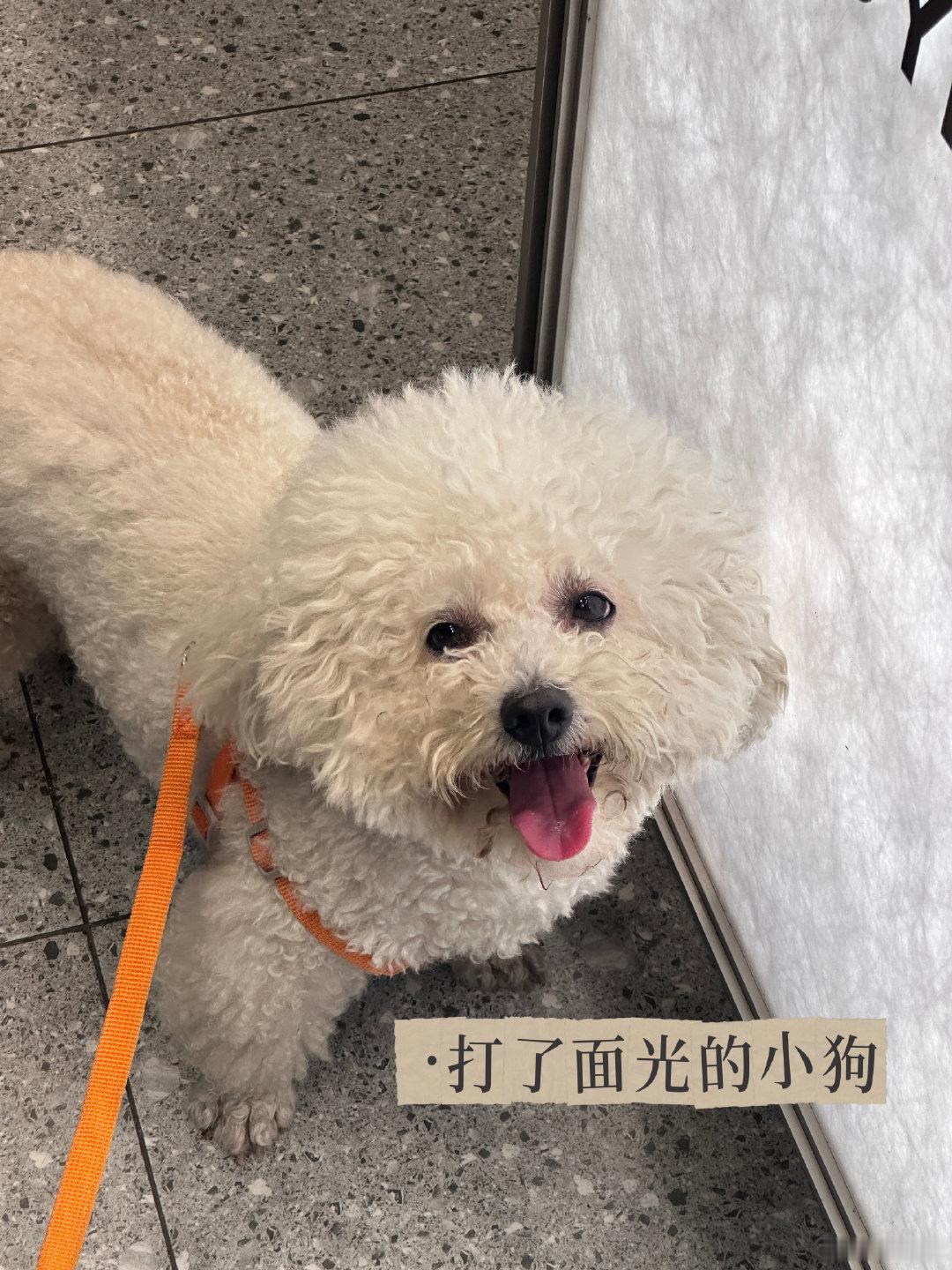 一直在解锁新地图的两周. ​