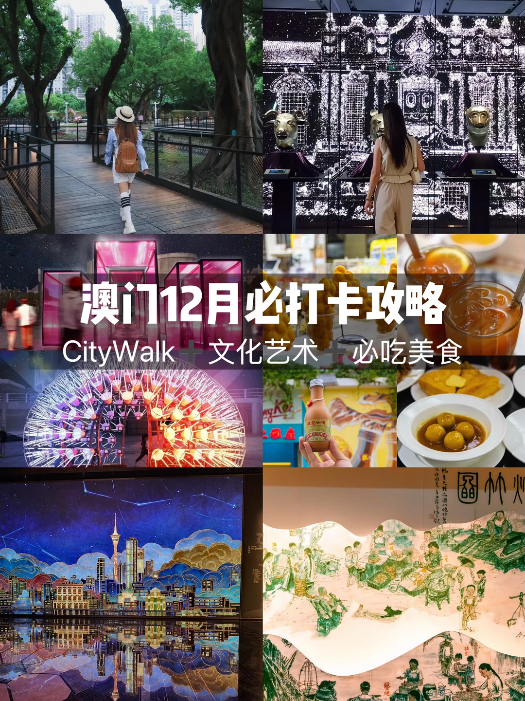 12月去澳门注意啦，这两条线路千万别错过‼️