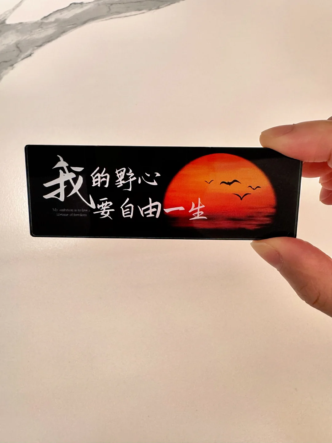 中年人的向往与焦虑