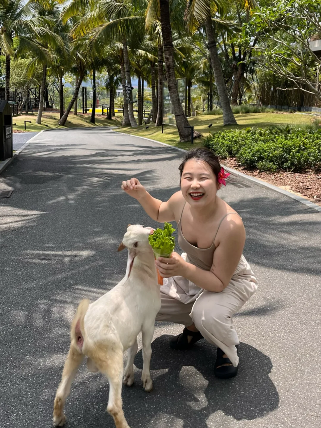 朋友说封面是顶级生命力🌳🧑🏻‍🌾🌿