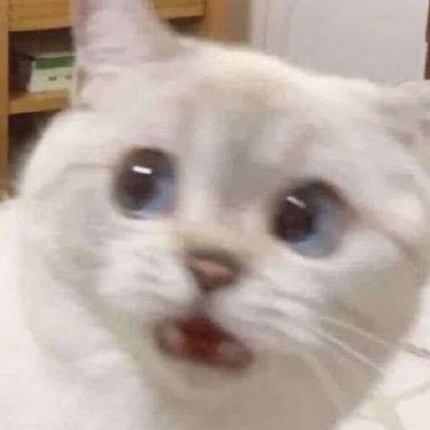 神经冰美式