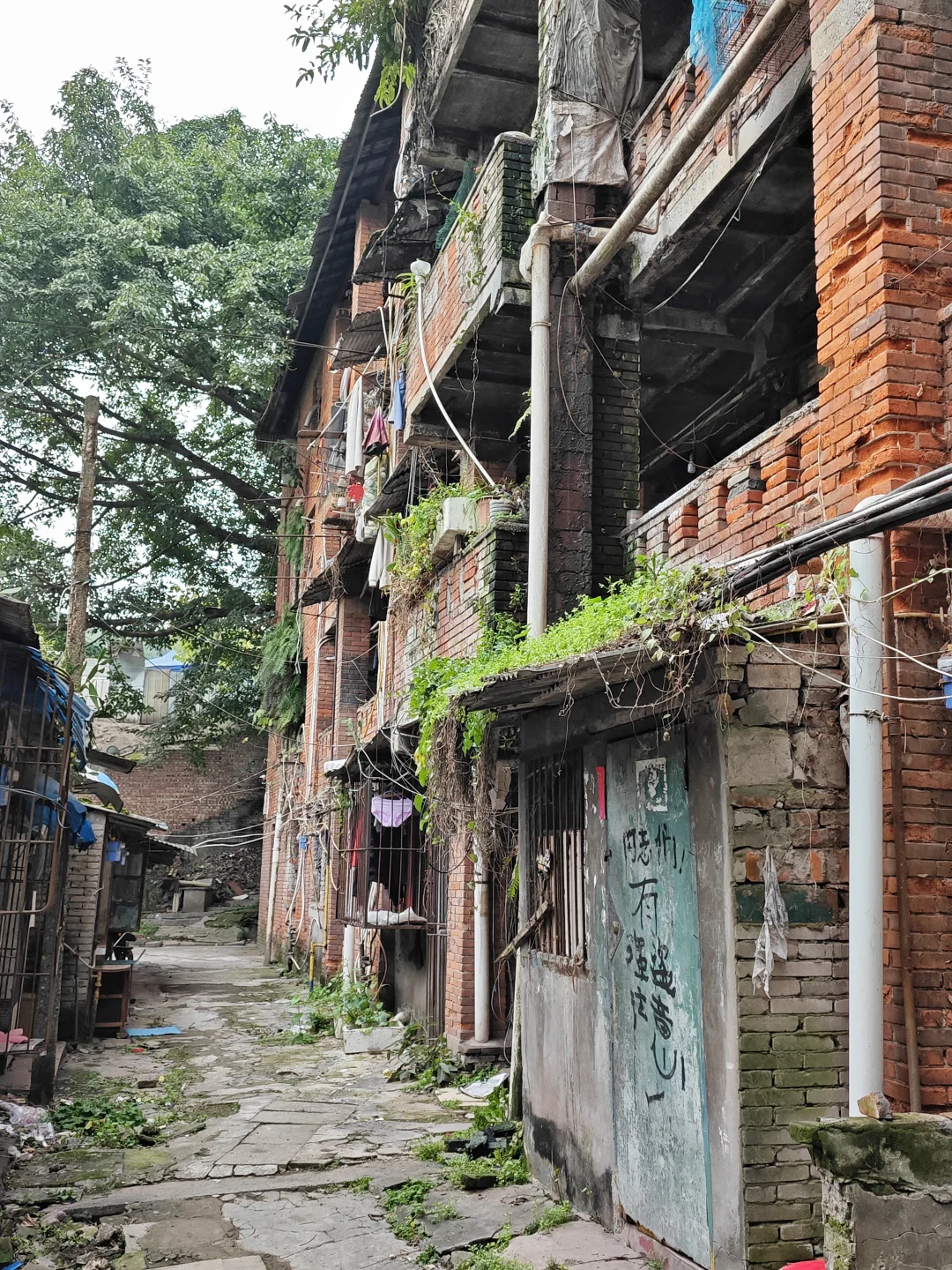 消失的长江钢厂(citywalk398)