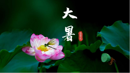 再平凡的一天，也是属于自己的“限量版”。早安，小“火”伴！ ​​​