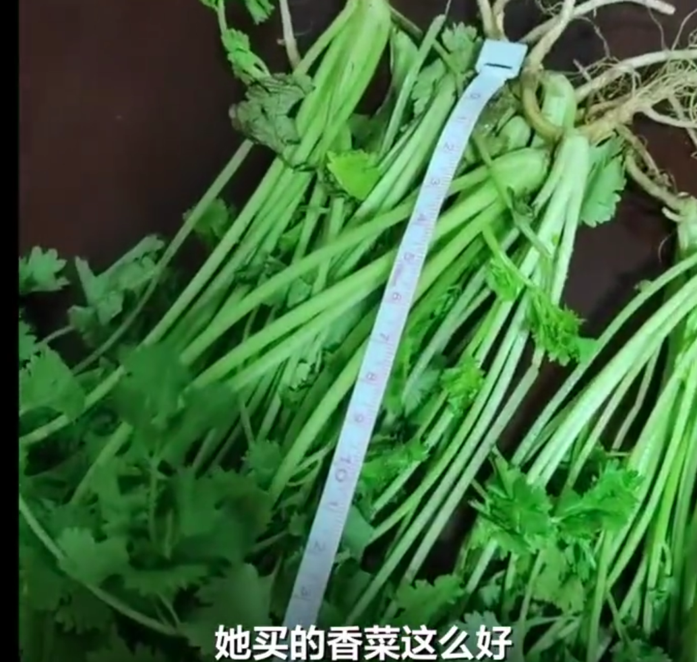 花8块钱买香菜，嫌老要&34;仅退款&34;，老板开车500公里上门收菜——这事儿你看着乐，我看着慌。

先说事儿。

9月26号，有人花8块钱网购了一把香菜，到货说&34;太老了&34;，申请仅退款。

啥意思呢？钱退回来，菜不用还。

商家朱先生在徐州，一怒之下，开车500多公里杀到上海，就为了把这把香菜拿回来。

来
