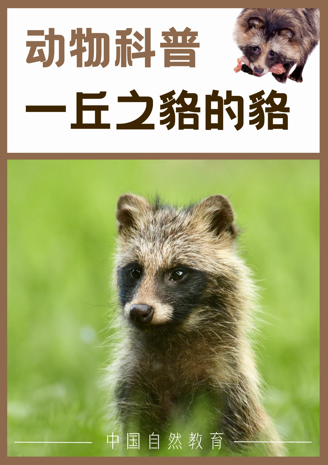 科普知识｜一丘之貉的貉