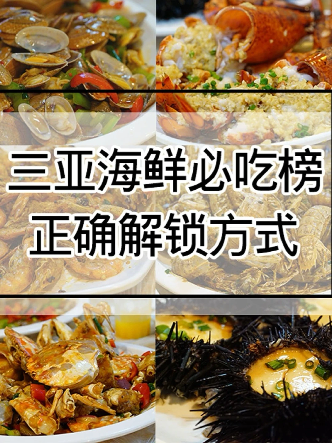 疯狂打call的三亚海鲜必吃榜 😻