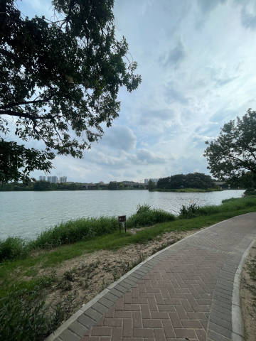 来湖边吹风