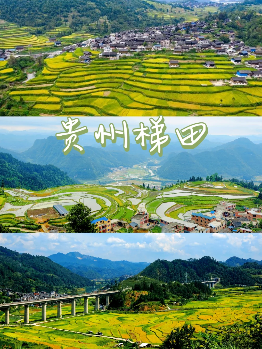 来我家乡玩一天🌾贵州梯田到底有多美