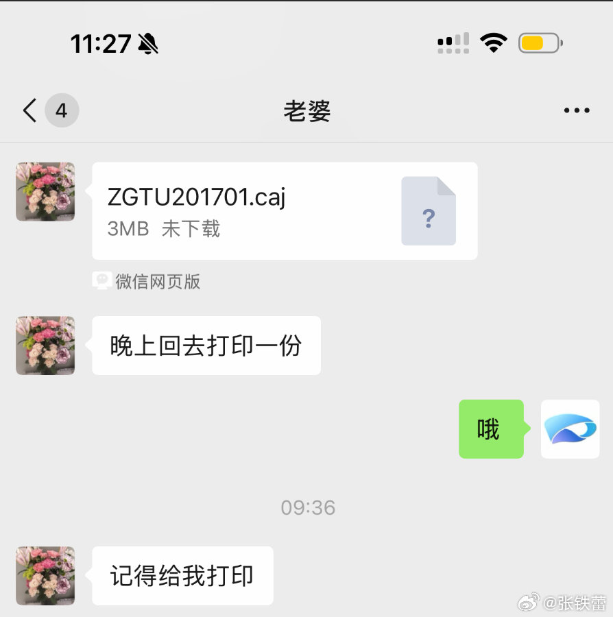 有了agent，跟以前确实不一样了。很多软件，只要不是强需求，就都不用安装了。类似做文件格式转换这种小任务，现在只需要一句话，agent自己上网查找开源方案，自己安装软件、写脚本，你去喝杯水的功夫它就把任务完成了。

 #微博vibelab##vibework##VibeWork# ​
