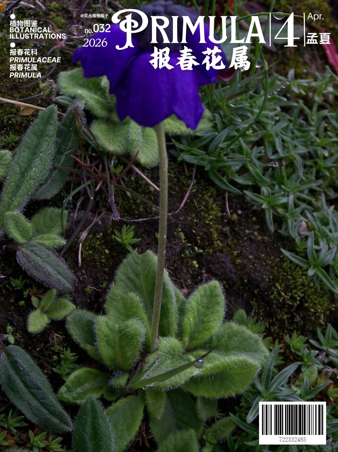 报春花属Primula下卷