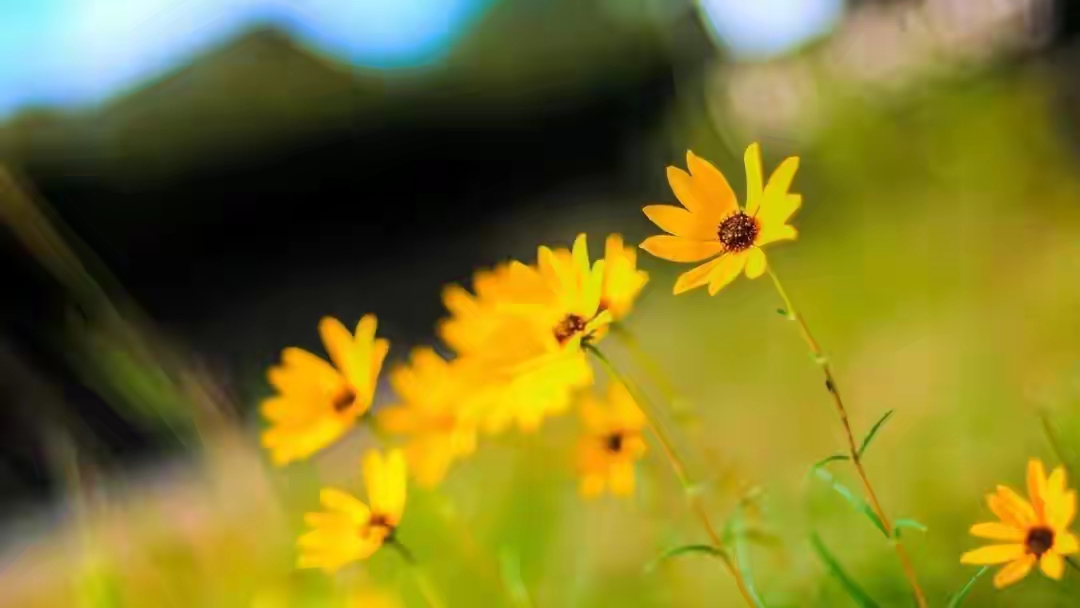 别为面子硬撑：不舒服的关系，疏远一点更自在