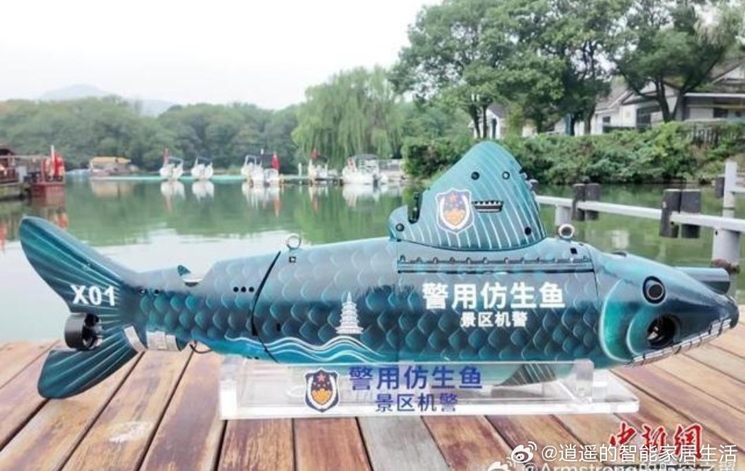 #西湖仿生机器鱼正式上岗#
西湖捞哥的接班人来了，是个智能机器鱼啊！ ​
