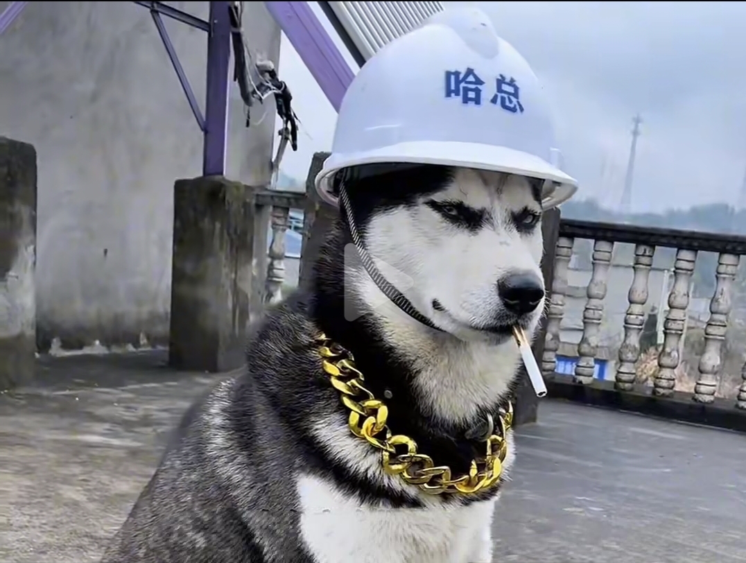 “光棍”和“单身”，虽说本质都是一个人，但叫法不同，给人的感觉也天差地...