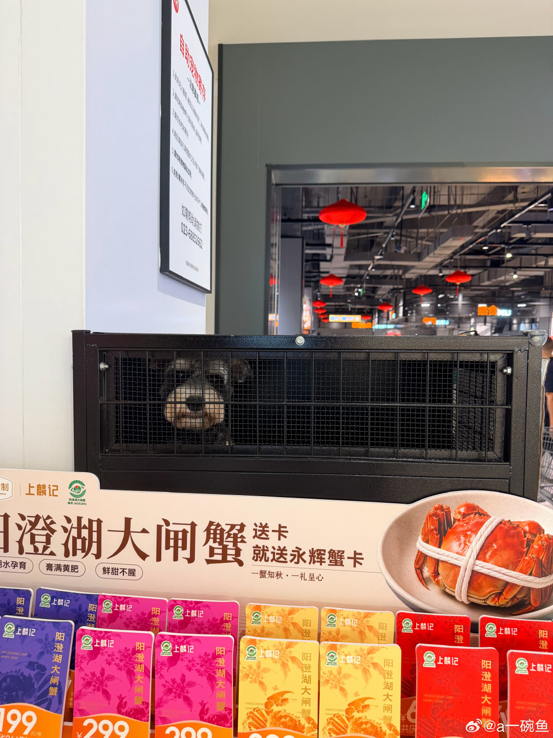 留守儿童不高兴 ​