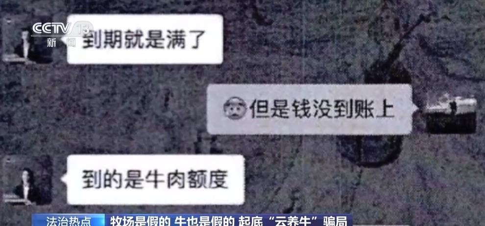 央视《法治在线》刚曝光的案子，看得人脊背发凉。上海徐汇法院今年4月判了，主犯张某因集资诈骗吃了十年半，罚了75万。这人搞了个“全民养牛”平台，App里24小时牧场直播看着特真，年化收益标着5%到15%，多少人真金白银砸进去，上海一位投资人甚至追加到300万认养了600头牛。结果呢？12万余人被套，涉