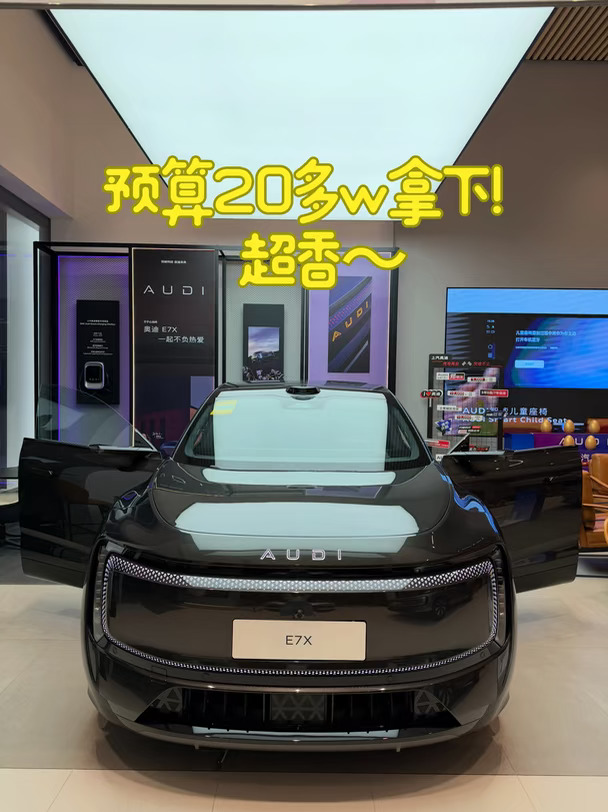 预算20多w拿下奥迪E7x